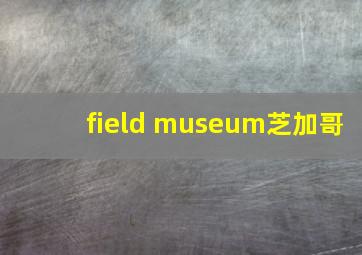 field museum芝加哥